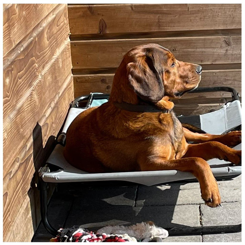 Stichting Trust Fund Tinus