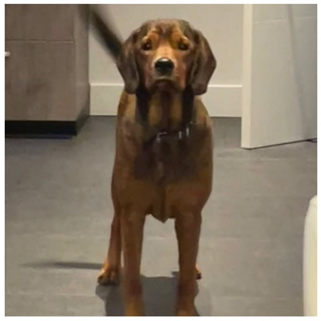 Stichting Trust Fund Tinus