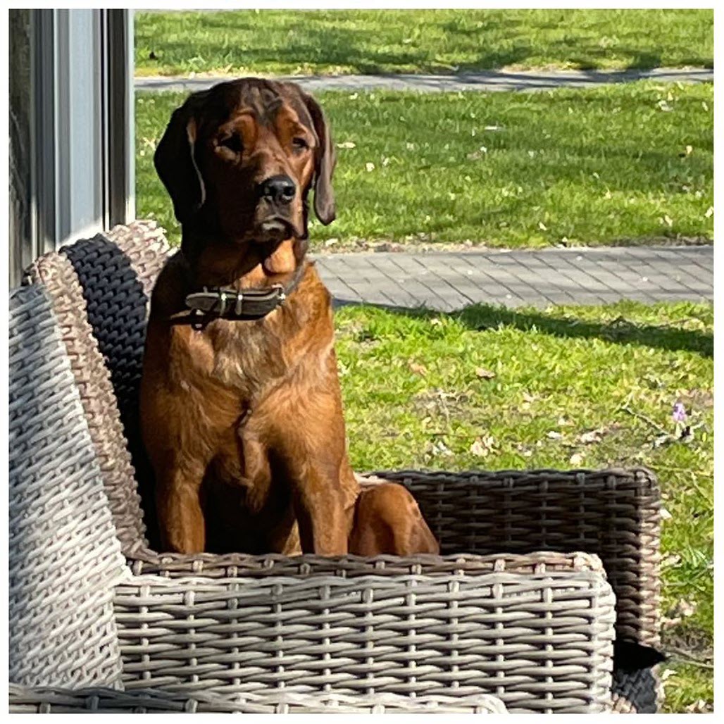 Stichting Trust Fund Tinus